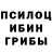 Галлюциногенные грибы Cubensis Lidia Leona