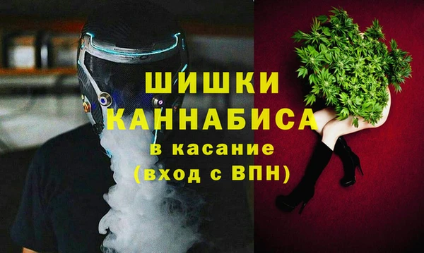 мдпв Богородск