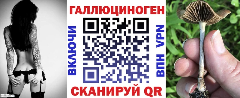 Купить  Сафоново  Галлюциногенные грибы Psilocybe 